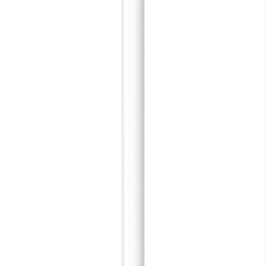 Apple Pencil 1st Generation